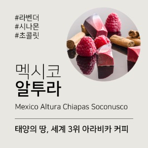 멕시코 알투라 치아파스 소코누스코