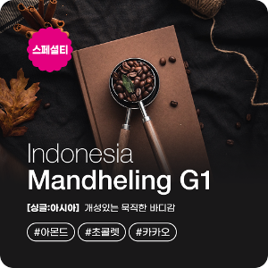 인도네시아 만델링 G1 원두 커피